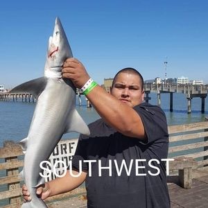 Meet your Posher, Arturo